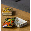 Vista Alegre Amazonia Card Box