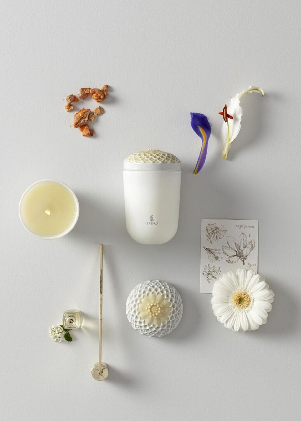 Lladro Echoes of Nature Candle