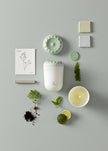 Lladro Echoes of Nature Candle