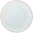 Raynaud Monceau Orange Abricot American Dinner Plate