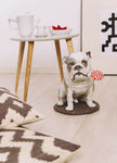 Lladro Bulldog with Lollipop Dog Figurine