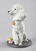 Lladro Poodle With Mochis Dog Figurine