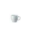 Rosenthal Junto Opal Green Coffee Cup