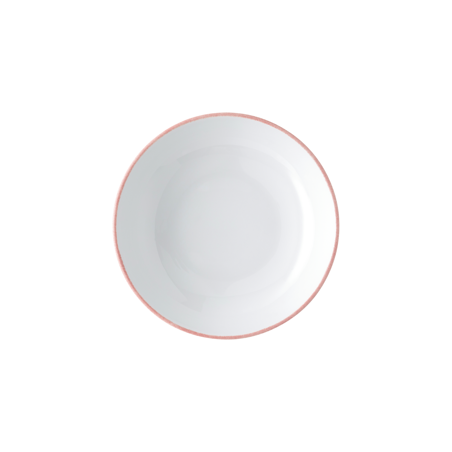 Rosenthal Profi Easy Powder Gourmet Plate/Serving Bowl Shallow