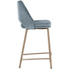 Sunpan Radella Counter Stool - Set of 2