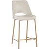 Sunpan Radella Counter Stool - Set of 2