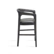 Interlude Home Kendra Counter Stool