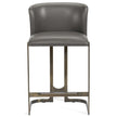 Interlude Home Banks Counter Stool