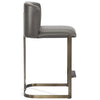 Interlude Home Banks Counter Stool