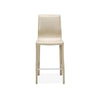 Interlude Home Jada Counter Stool