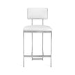 Interlude Home Landon Counter Stool