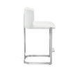 Interlude Home Banks Counter Stool