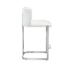 Interlude Home Banks Counter Stool