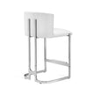 Interlude Home Banks Counter Stool