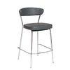 Euro Style Draco-C Counter Stool - Set of 2