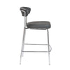 Euro Style Draco-C Counter Stool - Set of 2