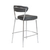 Euro Style Draco-C Counter Stool - Set of 2