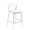 Euro Style Draco-C Counter Stool - Set of 2