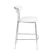 Euro Style Draco-C Counter Stool - Set of 2