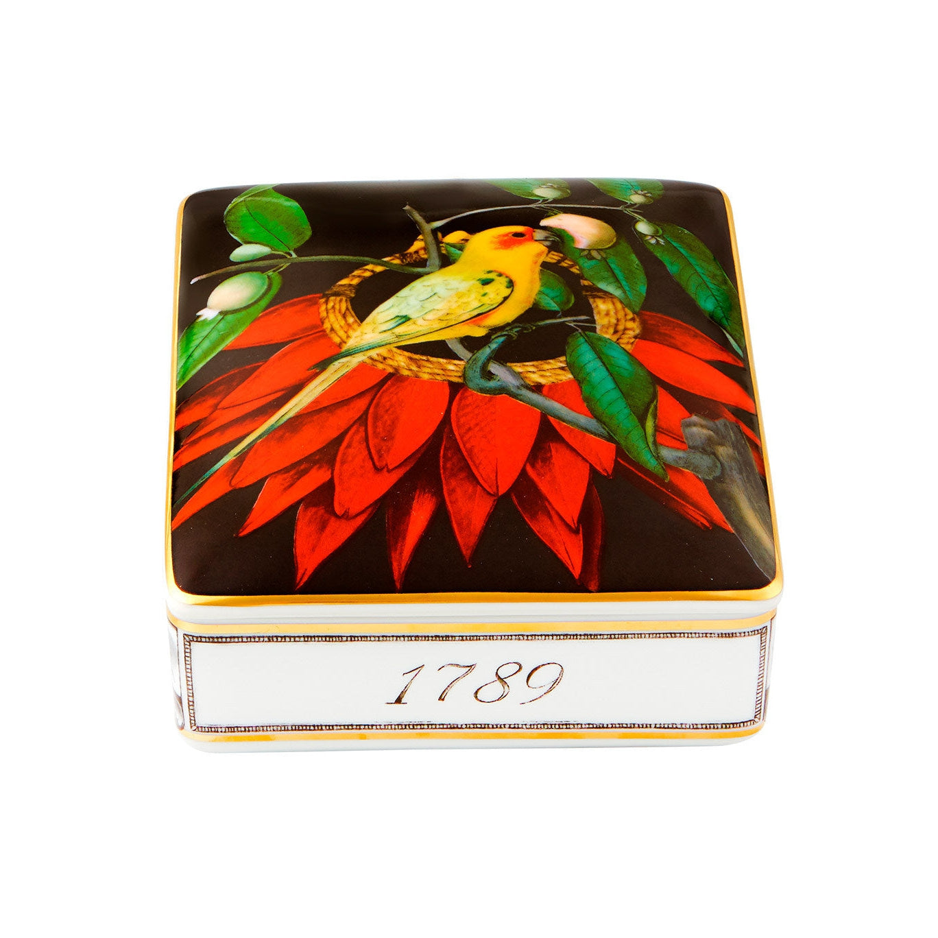 Vista Alegre Amazonia Card Box