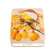 Vista Alegre Amazonia Card Box