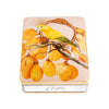 Vista Alegre Amazonia Card Box