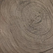 Petros Outdoor End Table