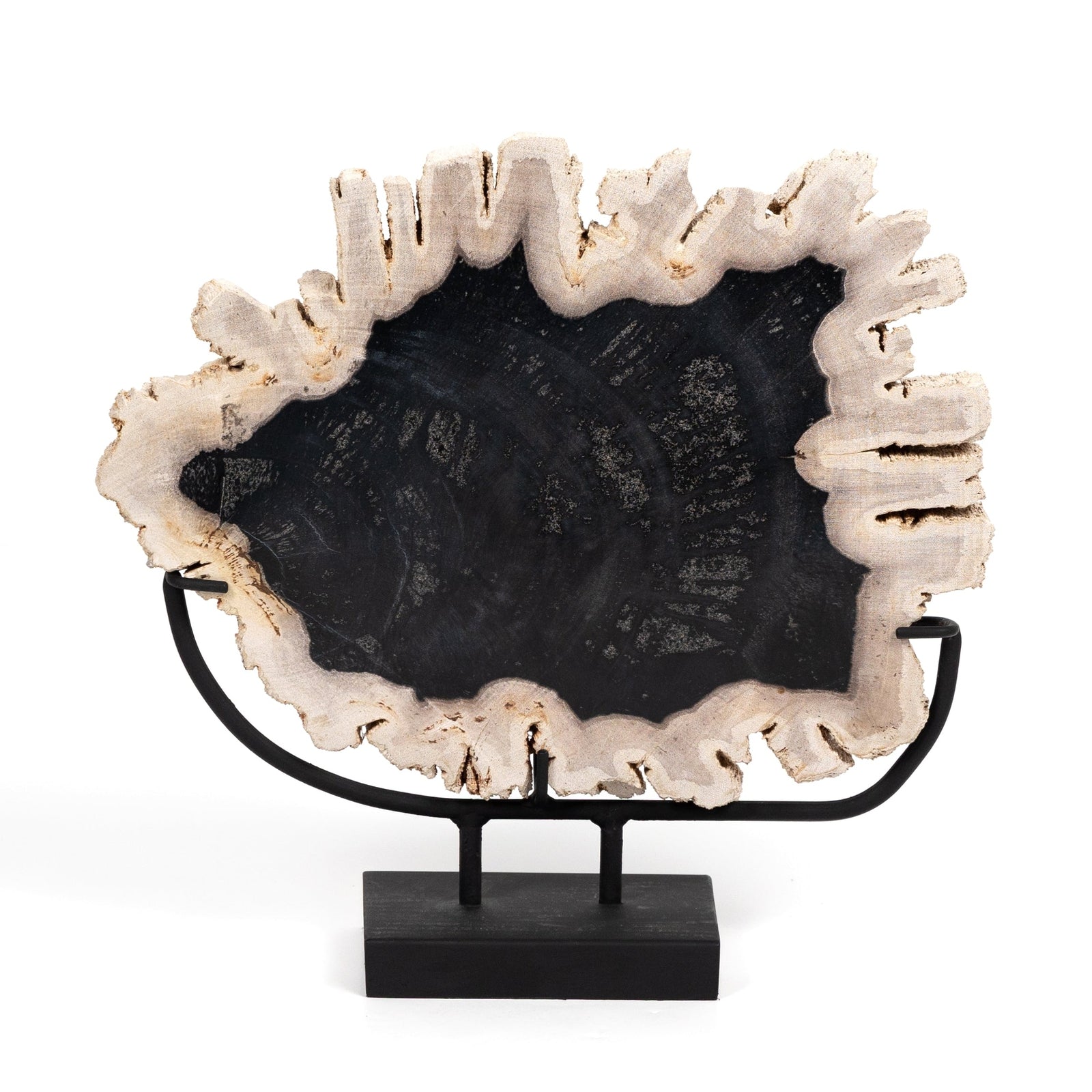 Petrified Wood Sculpture