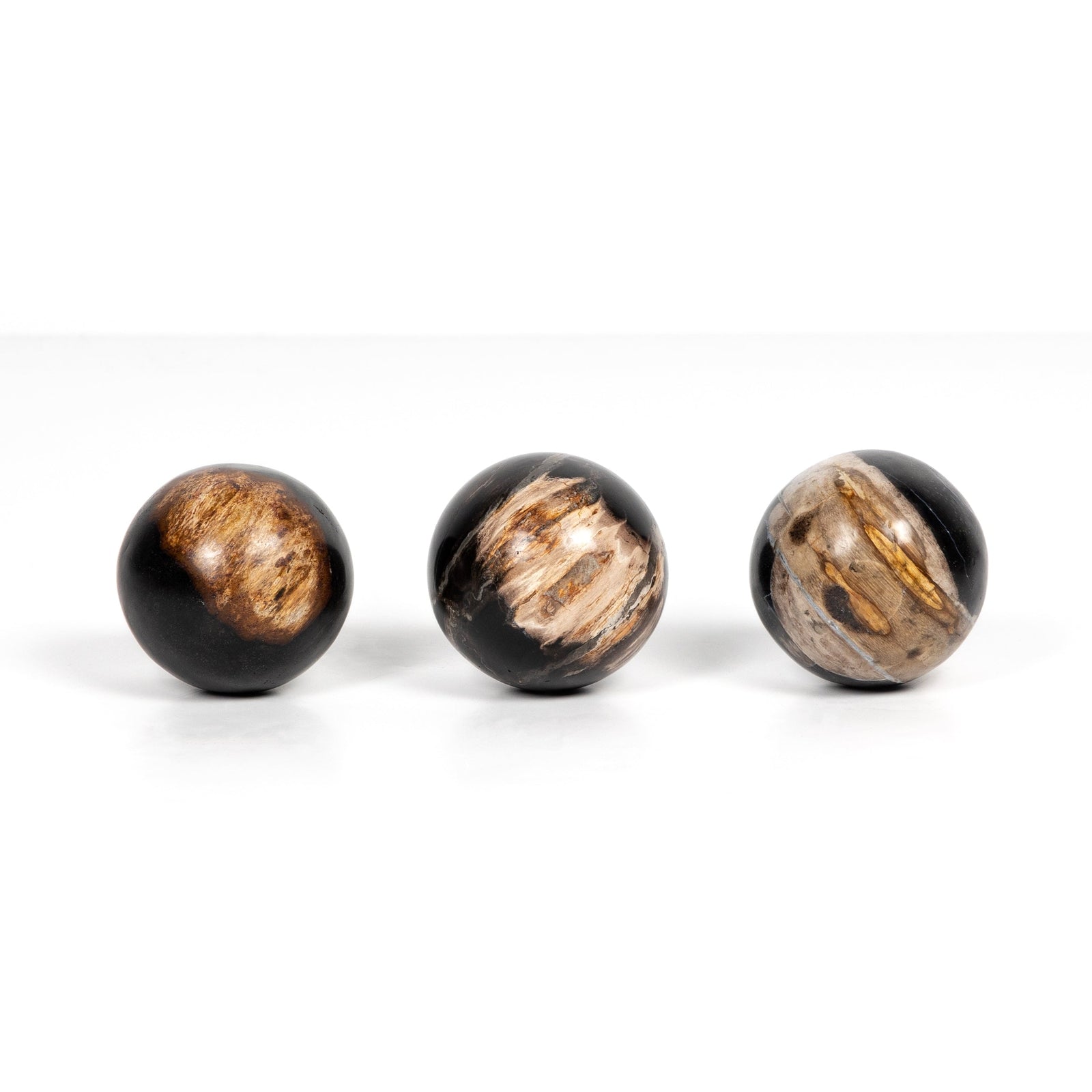 Petrified Wood Balls - Set of 3