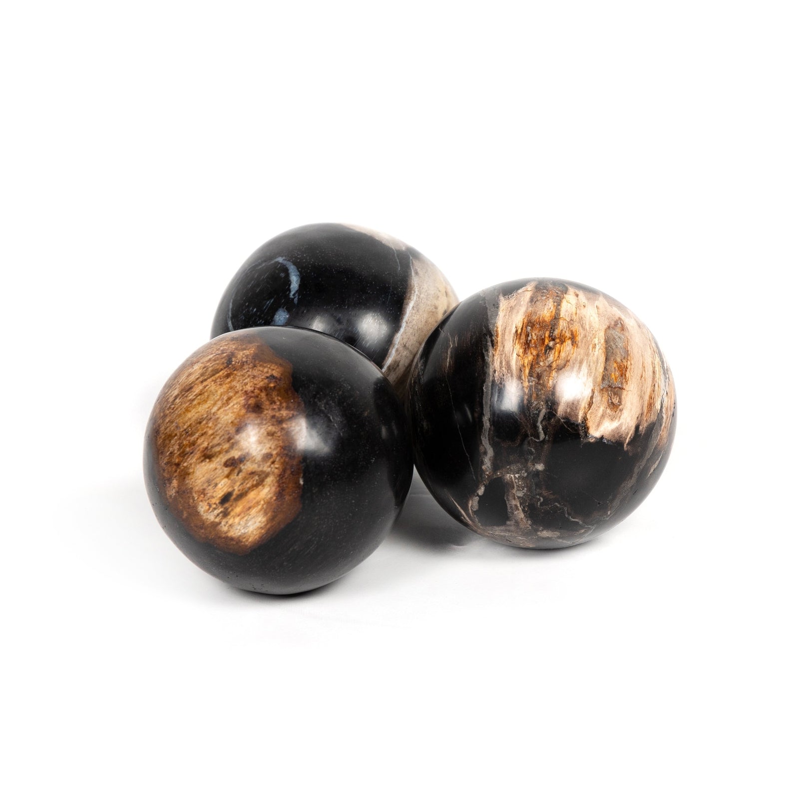 Petrified Wood Balls - Set of 3