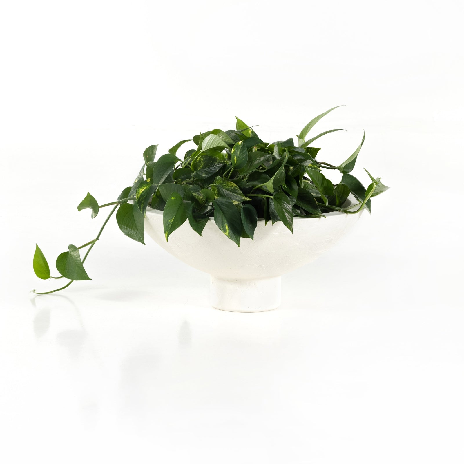 Pressler Outdoor Planter - Set of 2
