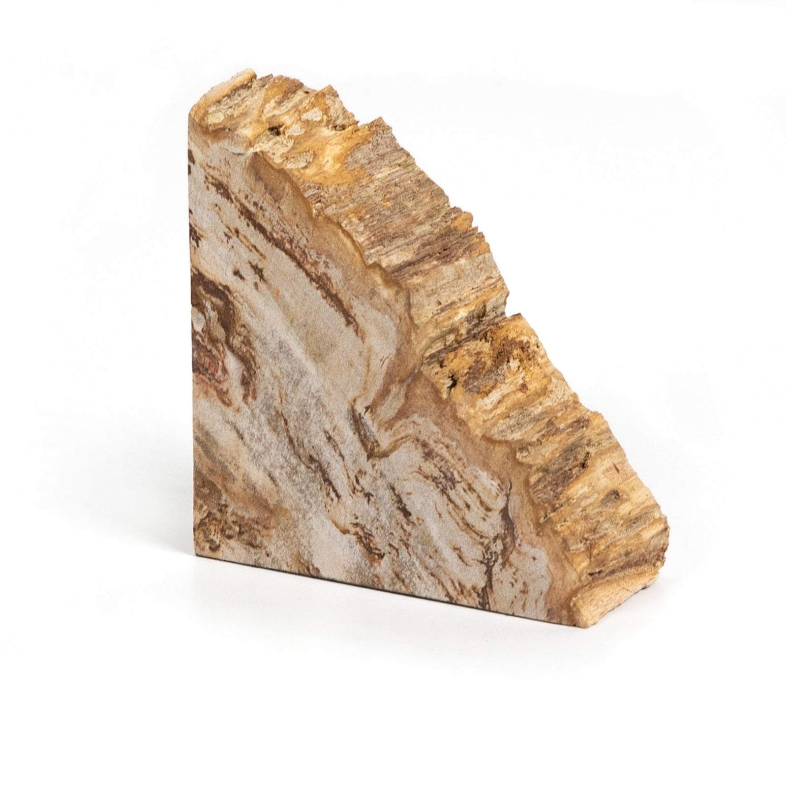 Petrified Wood Book Ends