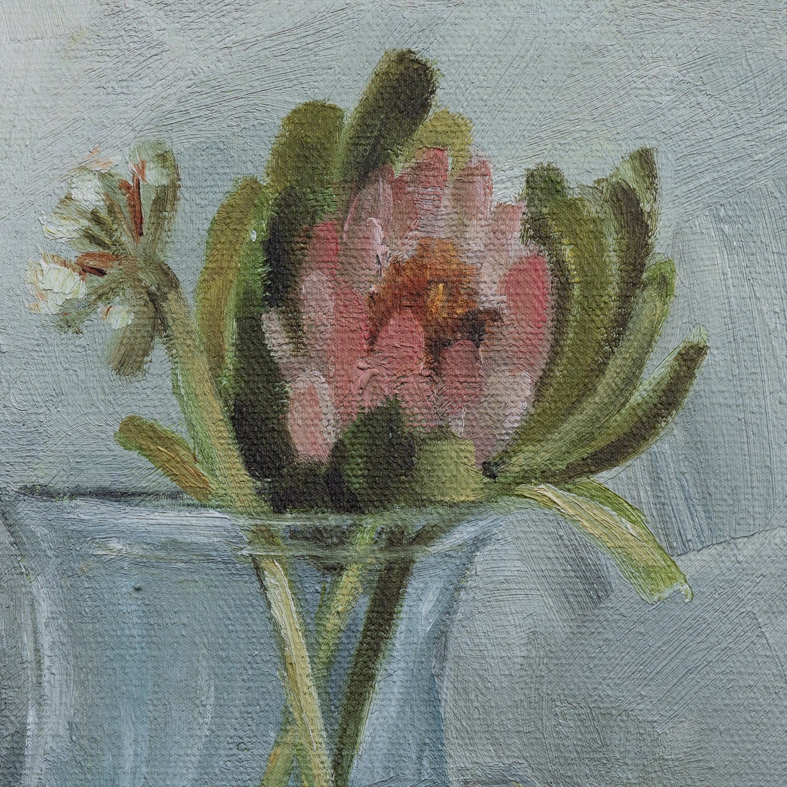 Protea Still Life by Shaina Page