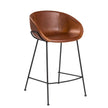 Euro Style Zach-C Counter Stool Set of 2