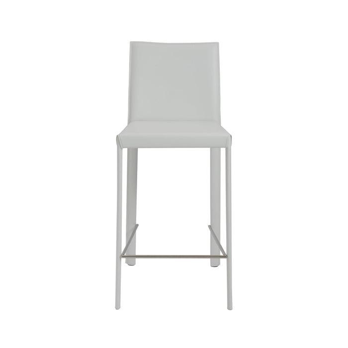 Euro Style Hasina Counter Stool - Set of 2