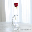 Global Views Clear Ring Flower Vase by Ashley Childers