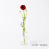 Global Views Clear Ring Flower Vase by Ashley Childers