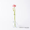 Global Views Clear Ring Flower Vase by Ashley Childers