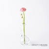 Global Views Clear Ring Flower Vase by Ashley Childers