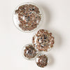 Global Views Glass Wall Mushrooms Set of 4