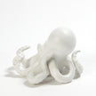 Global Views Octopus