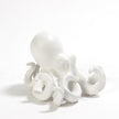 Global Views Octopus