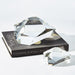 Global Views Crystal Paper Weight