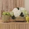Global Views Corrugated Bamboo Cachepot