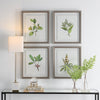 Uttermost Wildflower Study Framed Prints - Set of 4