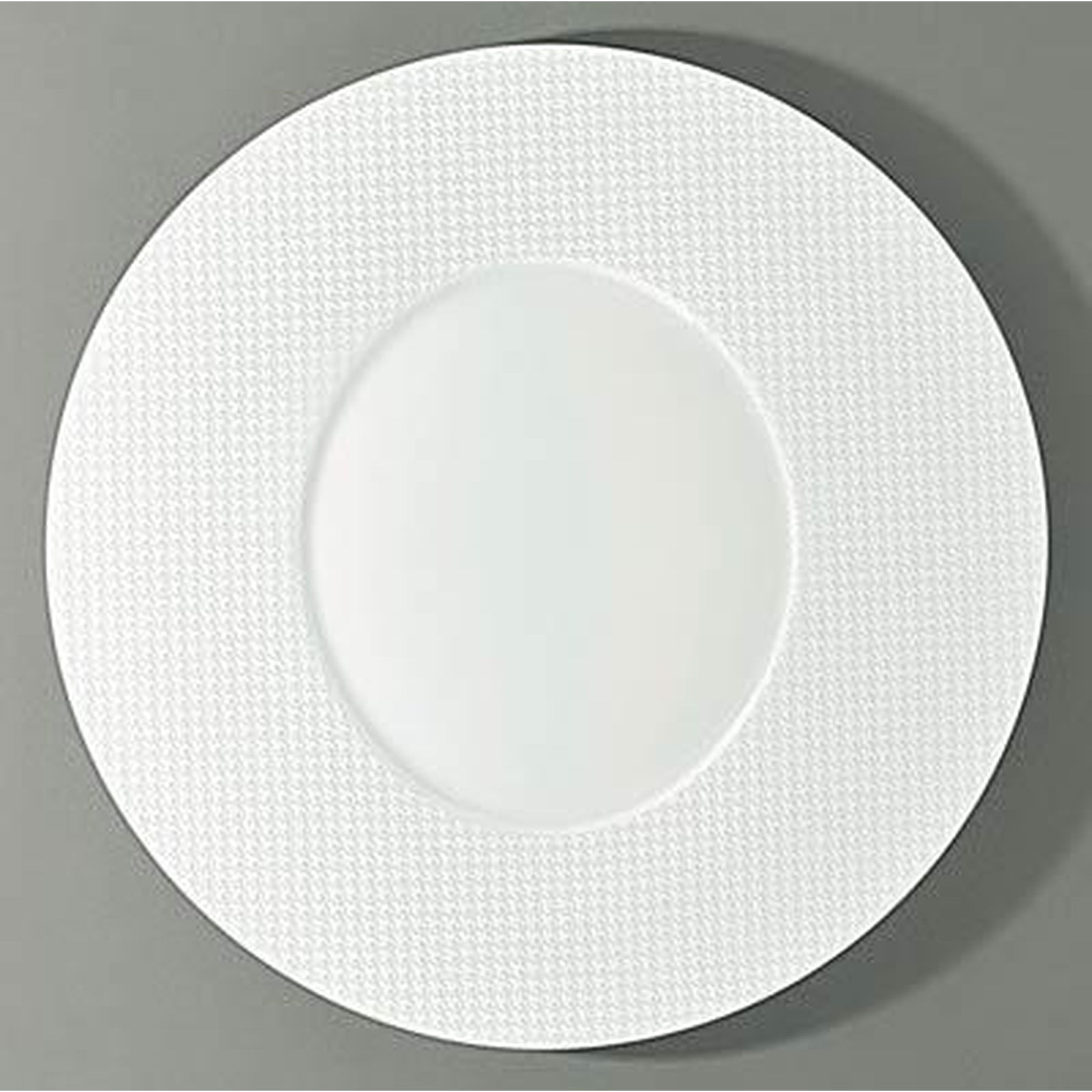 Raynaud Checks American Dinner Plate Ovale Center