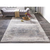 Feizy Cadiz 3888F Rug in Light Gray