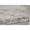 Feizy Cadiz 3892F Rug in Light Gray/Ivory