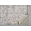 Feizy Cadiz 3892F Rug in Light Gray/Ivory