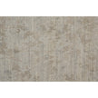 Feizy Elias 6718F Rug in Gray / Taupe